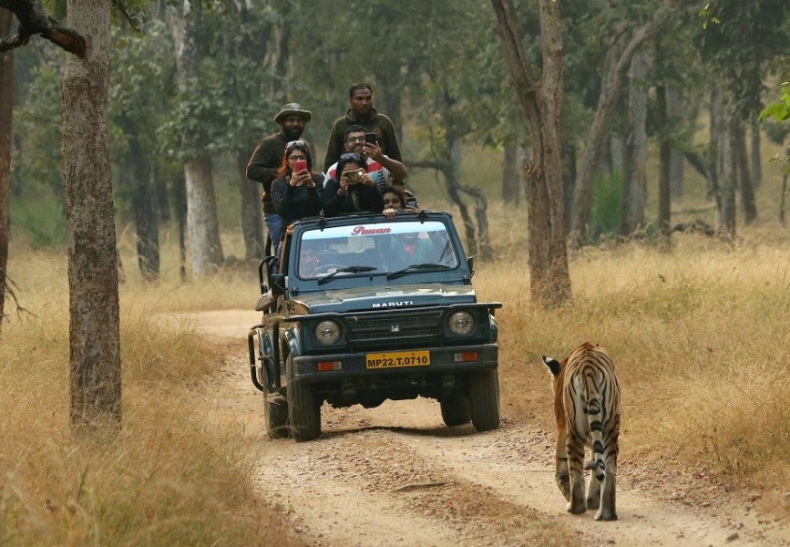 ranthambore canter safari
